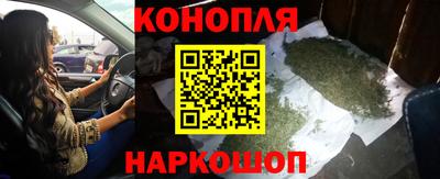 амф Гай