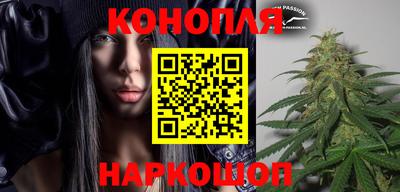 хмурый Гатчина