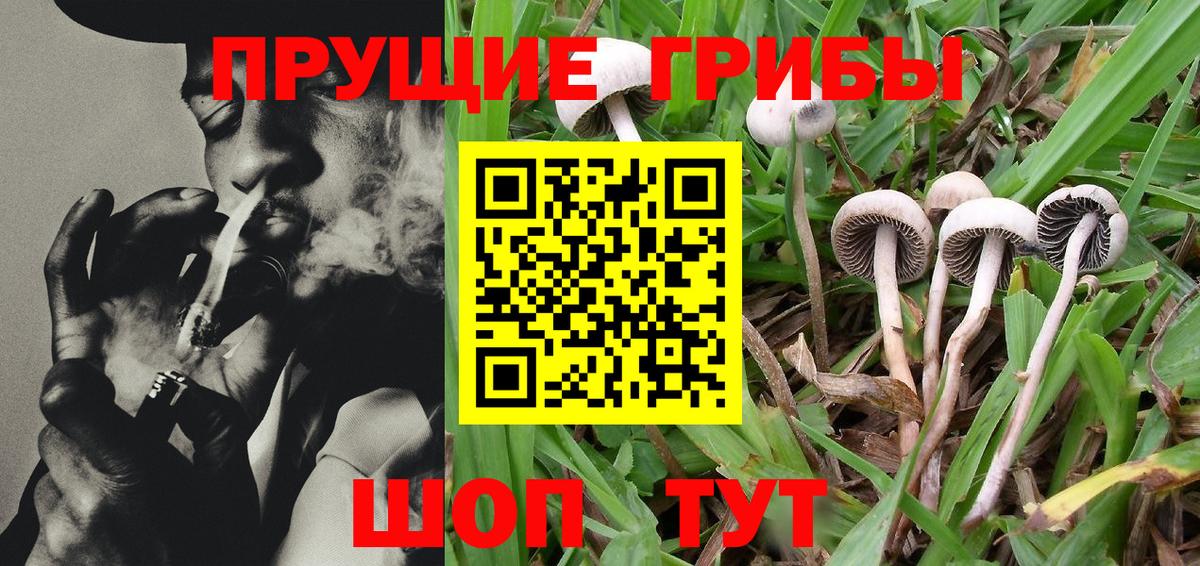 Галлюциногенные грибы мухоморы Туапсе