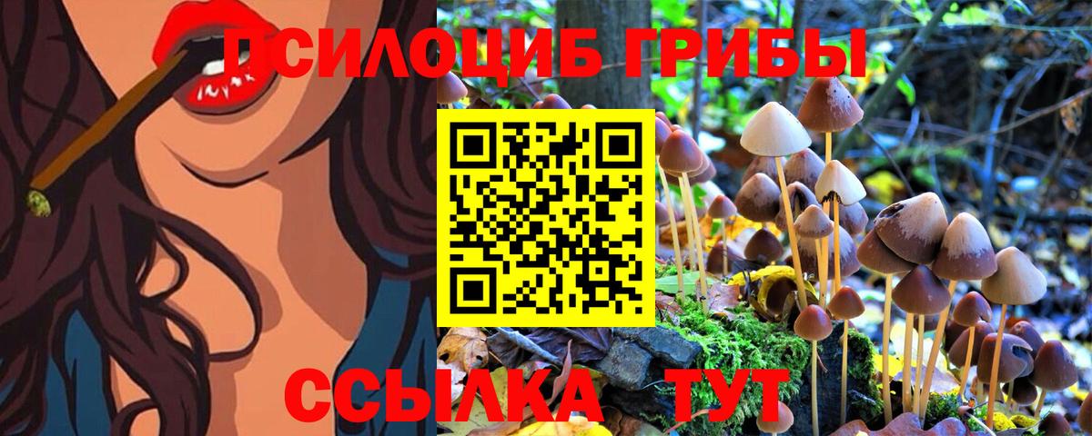 Туапсе  Псилоцибиновые грибы GOLDEN TEACHER  Вход с VPN 